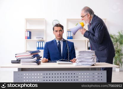 The old boss and young male employee in the office. Old boss and young male employee in the office