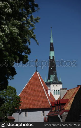 the old city of Tallinn in Estonia in the Baltic countrys in Europe.. EUROPE ESTONIA TALLINN