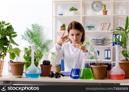 The old female biotechnology chemist working in the lab . Old female biotechnology chemist working in the lab