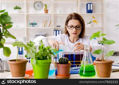 The old female biotechnology chemist working in the lab. Old female biotechnology chemist working in the lab
