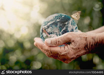 The old woman's hand is holding a globe with white butterflies hanging, ecology concept, Elements of this image furnished by NASA.