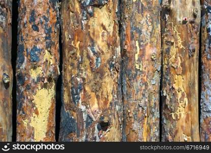 The olden grunge wooden rough boards background
