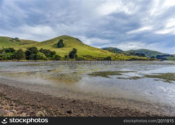 The Otago Peninsula near Dunedin in New Zealand