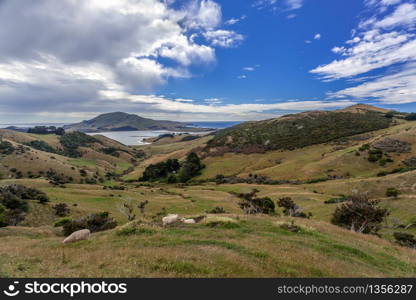 The Otago Peninsula New Zealand