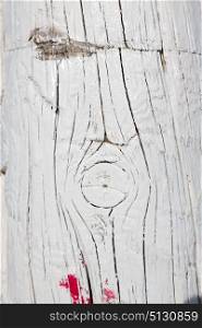 the painted piece of wood background texture