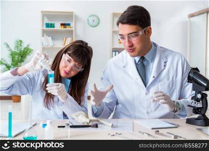 The paleontologists looking at bones of extinct animals. Paleontologists looking at bones of extinct animals