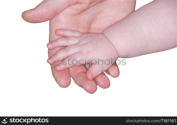 the parent holds the hand of a small child on white