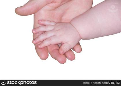 the parent holds the hand of a small child on white