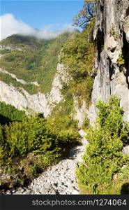 the path of the Mature in the Pyrenees