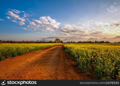 The path through their fields. Cloudy mountains and footpath road in the background