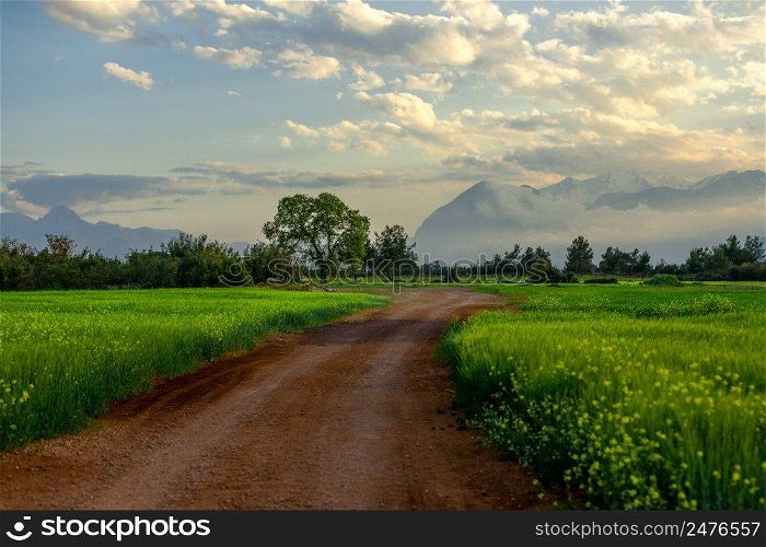 The path through their fields. Cloudy mountains and footpath road in the background