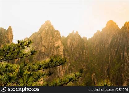 The pine tree with mountains on sunset of Huangshan, Anhui, China