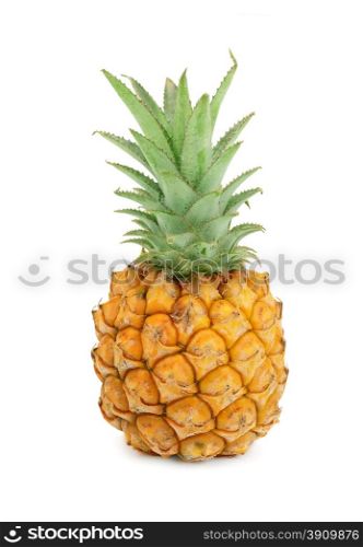 the pineapple isolated on white background