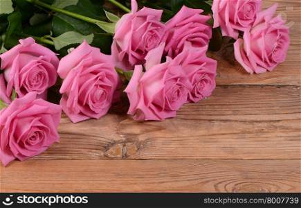 The pink beautiful rose as a background