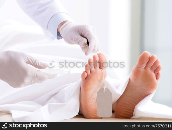 The police coroner examining dead body corpse in morgue. Police coroner examining dead body corpse in morgue