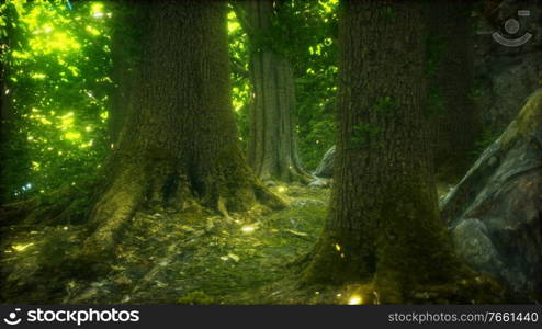 The primeval forest with mossed ground