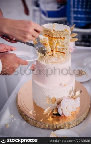 The process of cutting the cake into pieces.. The hands of the newlyweds cut the cake into pieces 3821.