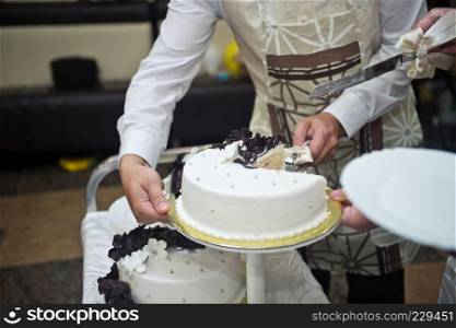 The process of dividing the cake into pieces.. The bride cuts the cake for the guests 1623.