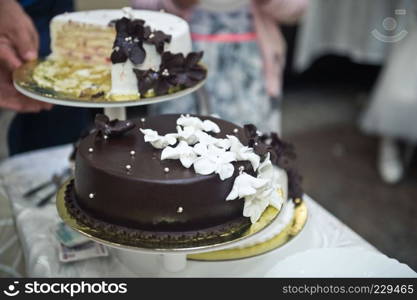 The process of dividing the cake into pieces.. The bride cuts the cake for the guests 1624.