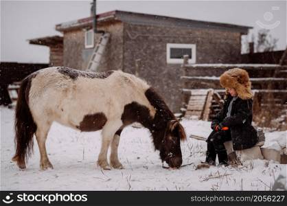 The process of feeding a pony among the stable yard.. A girl feeds a pony a carrot in the stable 3111.
