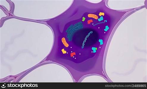 The process of transformation of genes with DNA sequences into functional protein structures. 3D illustration. The process of transformation of genes with DNA sequences into functional protein structures.