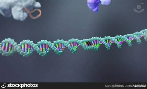 The process of transformation of genes with DNA sequences into functional protein structures. 3D illustration. Mechanisms that induce or suppress the expression of a gene