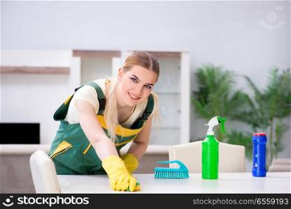 The professional cleaner cleaning apartment furniture. Professional cleaner cleaning apartment furniture
