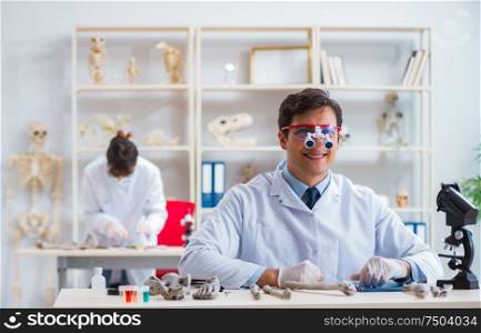 The professor studying human skeleton in lab. Professor studying human skeleton in lab