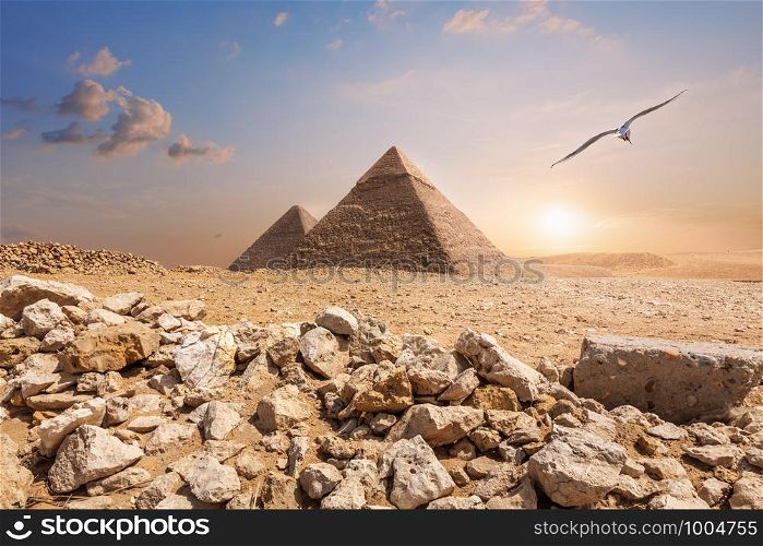 The Pyramid of Chephren and the Pyramid of Cheops, beautiful noon view.. The Pyramid of Chephren and the Pyramid of Cheops, beautiful noon view
