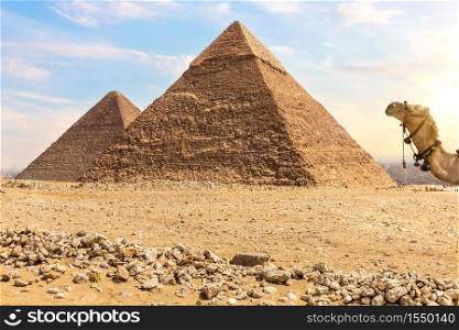 The Pyramid of Chephren and the Pyramid of Cheops, Giza, Egypt.