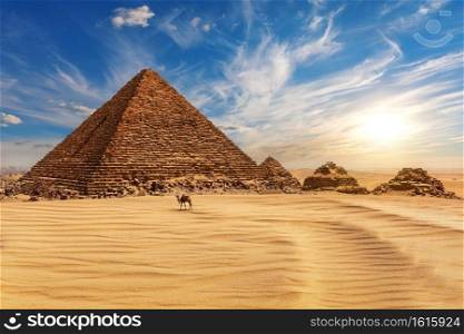 The Pyramid of Menkaure at sunset in Egypt and a camel nearby, Giza.