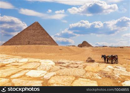 The Pyramid of Menkaure complex and horses near it, Giza, Egypt.. The Pyramid of Menkaure complex and horses near it, Giza, Egypt