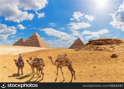 The Pyramids and camels with a bedouin in Giza desert, Egypt.. The Pyramids and camels with a bedouin in Giza desert, Egypt
