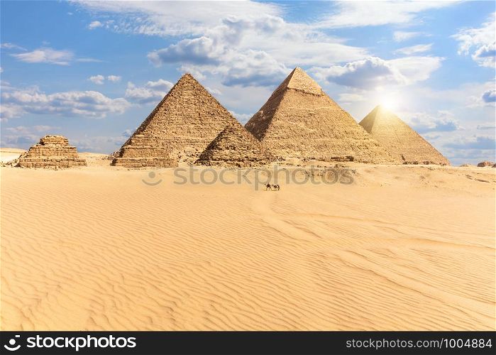 The Pyramids of Giza, view from the desert, Egypt.. The Pyramids of Giza, view from the desert, Egypt