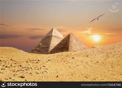 The Pyramids of Giza, view from the sand-dune.. The Pyramids of Giza, view from the sand-dune