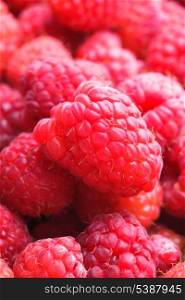 The raspberries close up as a background