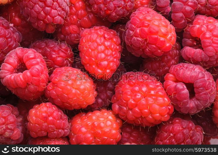 The raspberries close up as a background. raspberries close up