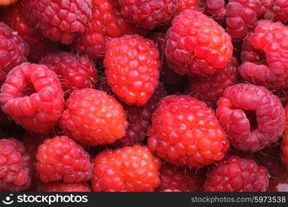 The raspberries close up as a background. raspberries close up