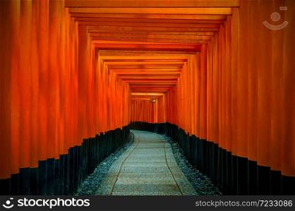 The red torii gates walkway at fushimi inari taisha shrine in Kyoto, Japan.