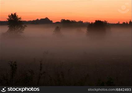 The rising sun illuminates the morning fog hanging over the meadow, in the distance you can see the outlines of the houses. Beautiful, interesting and mysterious landscape, illustration .Poland in May. Horizontal view