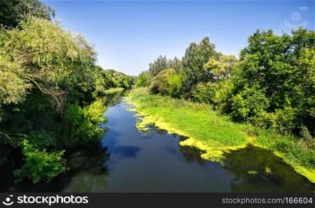 The river among green trees in summer. The river among green trees