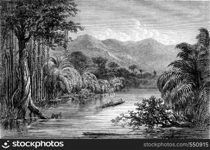 The river of Polochie, department of Verapaz, Republic of Guatemala, Central America, vintage engraved illustration. Magasin Pittoresque 1867.