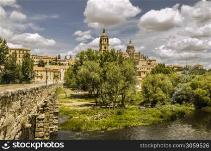 The river tormes crosses the history in this ancient city of the community of castile and leon