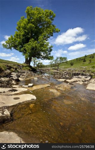 The River Wharf in Langstrothdale in the Yorkshire Dales National Park in northern England