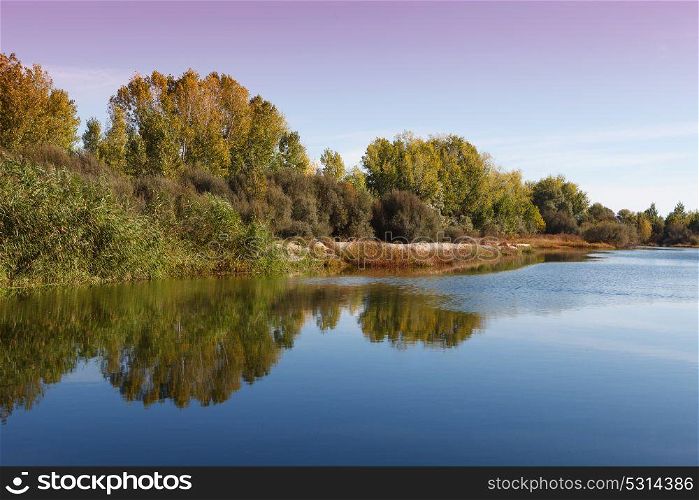 The river with a quiet current and trees reflected in it