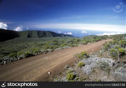 The road and Landscape allrond the Volcano Piton de la Fournaise on the Island of La Reunion in the Indian Ocean in Africa.