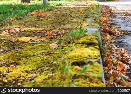 the road border is covered with leaves, the road is covered with leaves in autumn. the road border is covered with leaves