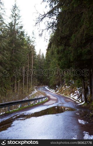 The road in the forest among the dense forest, Christmas trees, pine trees. Snow lies. A wonderful time for hiking, traveling, adventure.. The road in the forest among the dense forest, Christmas trees, pine trees. Snow lies