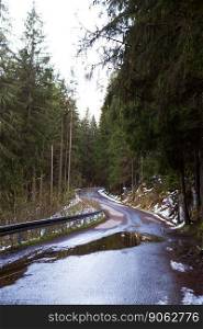 The road in the forest among the dense forest, Christmas trees, pine trees. Snow lies. A wonderful time for hiking, traveling, adventure.. The road in the forest among the dense forest, Christmas trees, pine trees. Snow lies