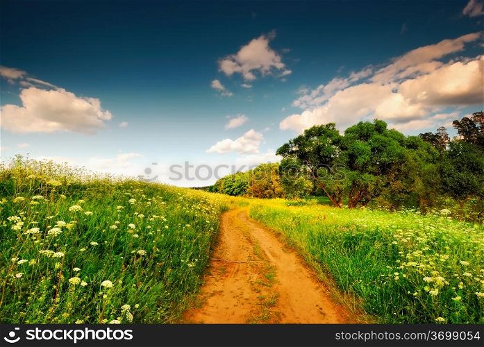 The road into a field.